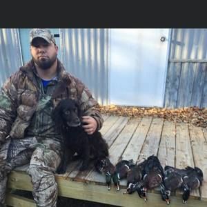 Meet your Posher, Clint